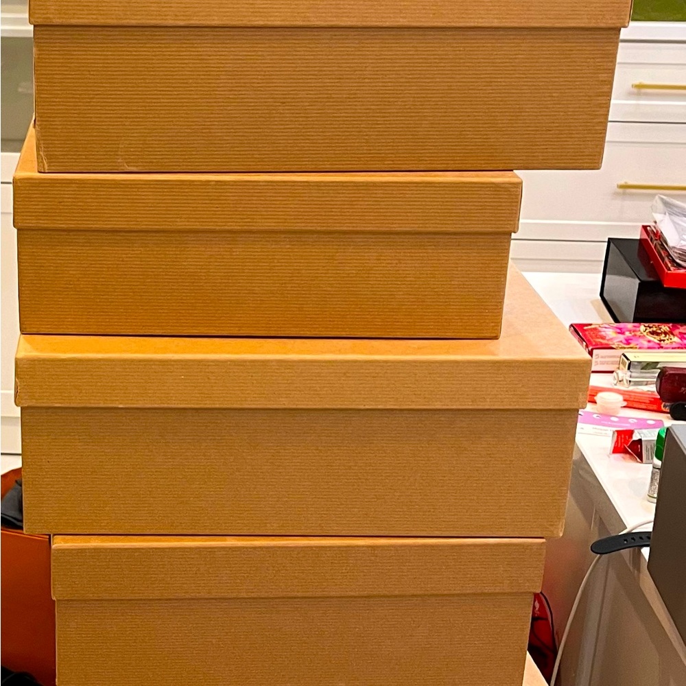 10 Christian Louboutin Empty Shoe Boxes w/Dust Bags